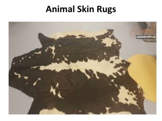 Animal Skin Rugs