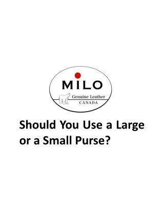 Should You Use a Large or a Small Purse - Expressions Milo