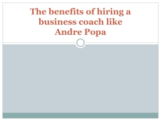 The benefits of hiring a business coach like Andre Popa