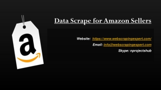 Data Scrape for Amazon Sellers