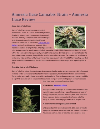 Amnesia Haze Cannabis Strain – Amnesia Haze Review