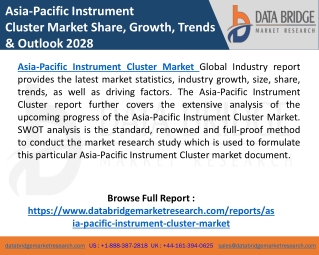 Asia-Pacific Instrument Cluster Market Share, Growth and Business Outlook 2028