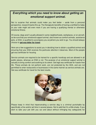 Everything which you need to know about getting an emotional support animal