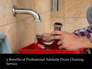 5 Benefits of Professional Adelaide Drain Cleaning Service
