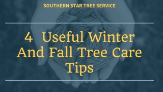 Tree Care Tips For Winter And Fall