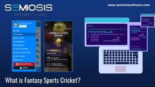 What is Fantasy Sports Cricket?
