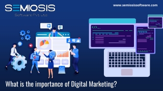 What is the importance of Digital Marketing?