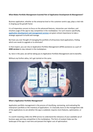 What Makes Portfolio Management Essential Part of Application Developement