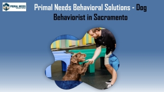 Primal Needs Behavioral Solutions - Dog Behaviorist in Sacramento