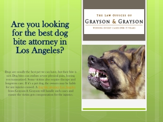 Are you looking for the best dog bite attorney in Los Angeles?
