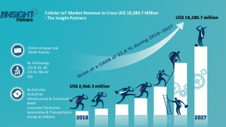 Cellular IoT Market to 2027 - Global Analysis and Forecasts