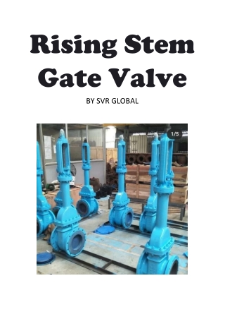 Rising Stem Gate Valve