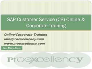 Proexcellency Provides SAP Customer Service (CS) Online Training