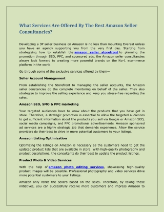 What Services Are Offered By The Best Amazon Seller Consultancies