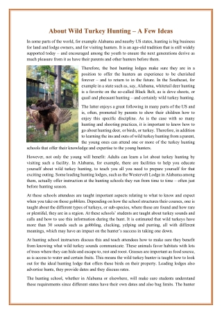 About Wild Turkey Hunting – A Few Ideas