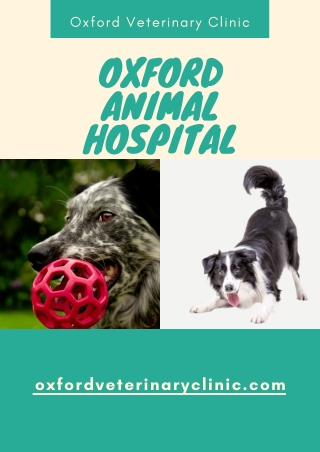 Oxford Animal Hospital