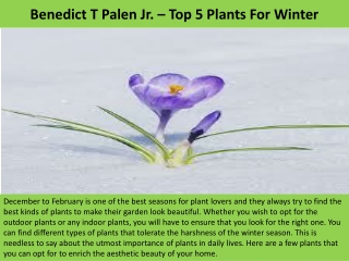 Benedict T Palen Jr. – Top 5 Plants For Winter