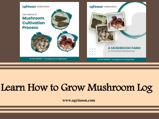 Learn How to Grow Mushroom Log