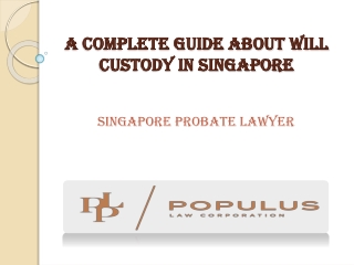 A Complete Guide About Will Custody In Singapore