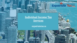 Get the Best Individual Income Tax Services - Expatriate Tax