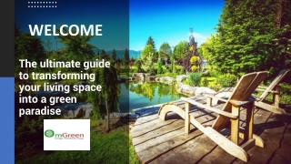 The ultimate guide to transforming your living space into a green paradise | OmG