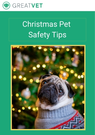Christmas Pet Safety Tips