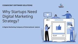 Why-Startups-Need-Digital-Marketing-Strategy