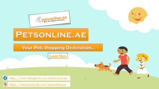 Online pet shop Dubai