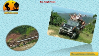 Eco Jungle Tours