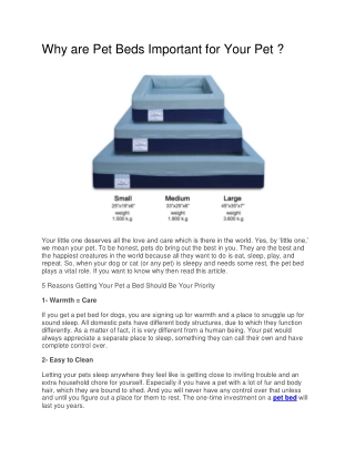 Why are Pet Beds Important for Your Pet