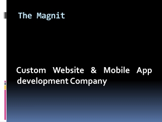 The Magnite PPt Slides
