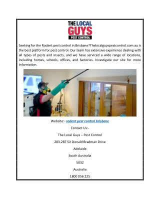 Rodent Pest Control Brisbane  Thelocalguyspestcontrol.com.au