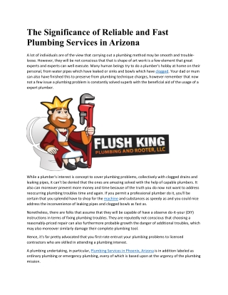 The Significance of Reliable and Fast Plumbing Services in Arizona