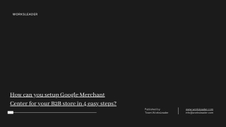 How can you setup Google Merchant Center for your B2B store in 4 easy steps