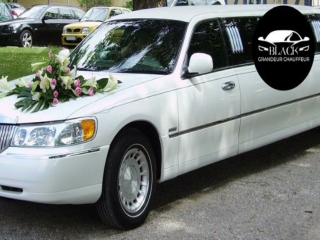 Hire Wedding Limo Service in Brisbane