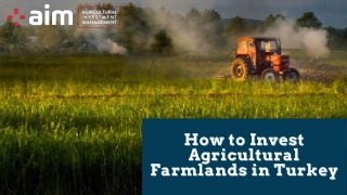 How to Invest Agricultural Farmlands in Turkey