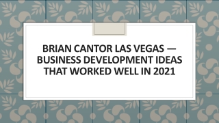 Brian Cantor Las Vegas — Business Development Ideas That Worked Well In 2021