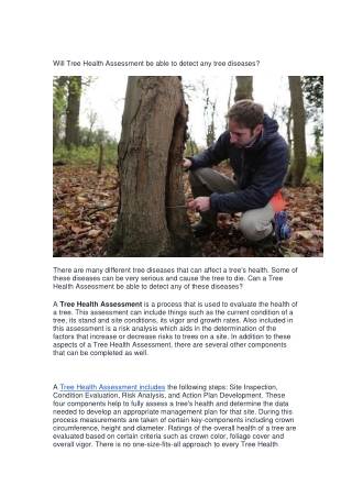 Will Tree Health Assessment be able to detect any-converted