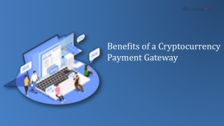 Benefits of a Cryptocurrency Payment Gateway