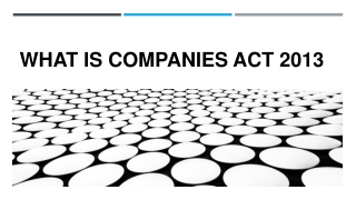 What Is Companies Act 2013