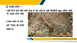 Satyadhi Sharma Classes - Shikshak Patrata Pariksha
