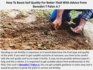 How To Boost Soil Quality For Better Yield With Advice From Benedict T Palen Jr.