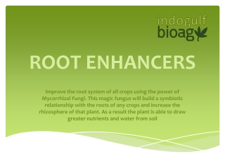 Root  Enhancers By Indogulf BioAg