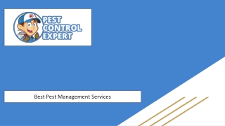 Best Pest Management Services - Pest Control Expert