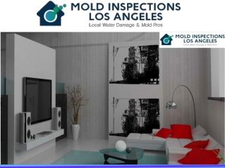 Professional Mold Testing La