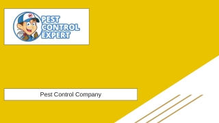 Pest Control Company - Pest Control Expert