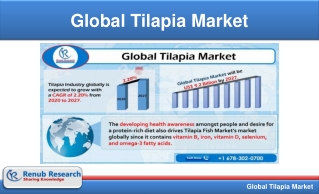 Global Tilapia Market to reach US$ 9.2 Billion by 2027