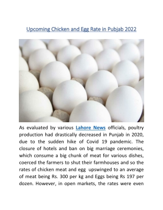 Upcoming Chicken and Egg Rate in Pubjab 2022