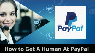 How do I talk to a human at PayPal