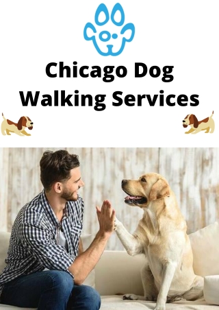 Chicago Dog Walking Services
